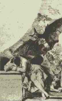 foto 22
            El somni de la ra produeix monstres, de Goya.
            Que la nostra reflexi no els produeixi.